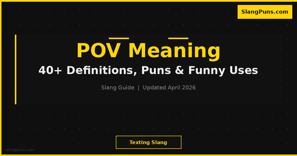 POV meaning