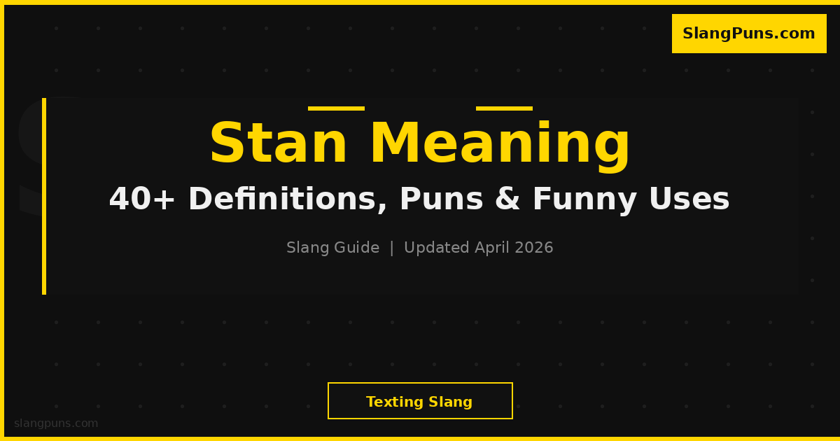 STAN meaning