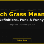 TOUCH GRASS meaning